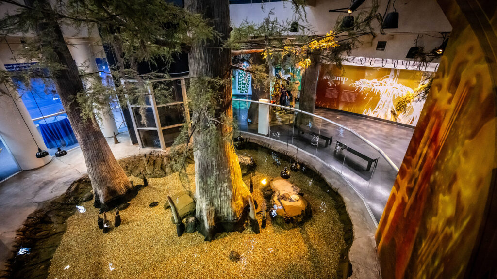 Orlando Science Center